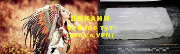 твердый Михайлов