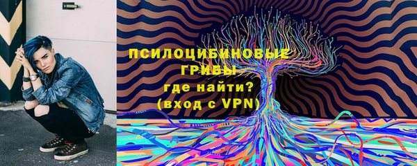 ECSTASY Медногорск