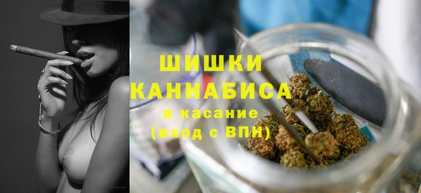 твердый Михайлов