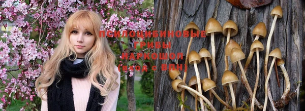 ешки Михайловск