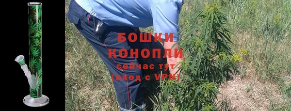 твердый Михайлов