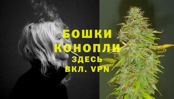 spice Медвежьегорск