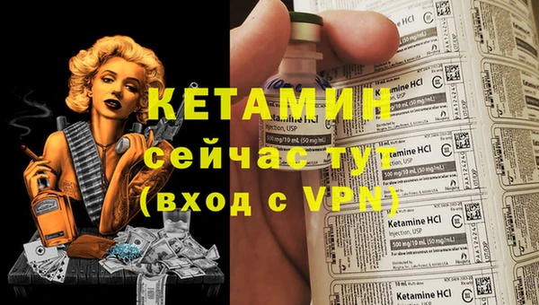 твердый Михайлов